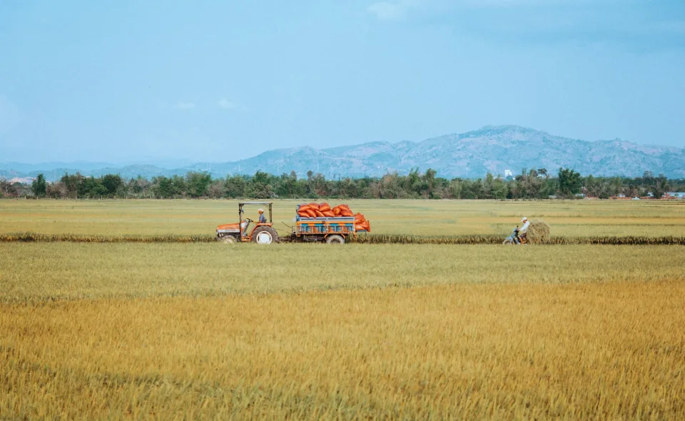 Các loại gạo & phụ phẩm